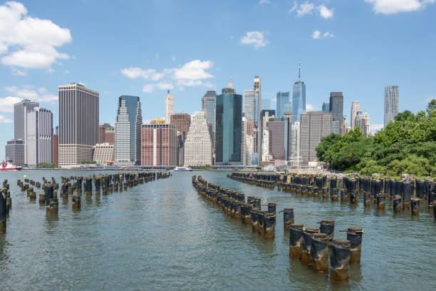 LETTERS TO THE EDITORS